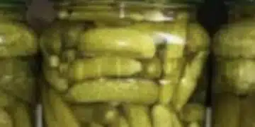 Идеалното мезе: вкусни и хрупкави корнишоники за всяка зима 1