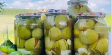 Най-вкусната рецепта за зелени домати: апетитни "лалета" в буркан 14