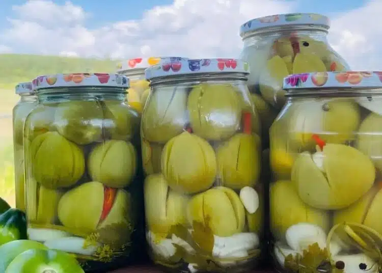 Най-вкусната рецепта за зелени домати: апетитни "лалета" в буркан 1