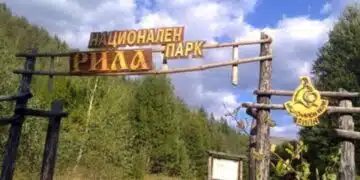 В Рила мотористи разораха и съсипаха пътека 3