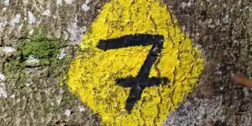 Числото 7 носи на 7 октомври – на няколко зодии неизчерпаема силна енергия, възползвайте се! 3
