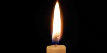 Нашия свят напусна певецът и китарист Уейн Озмънд, поклон 15