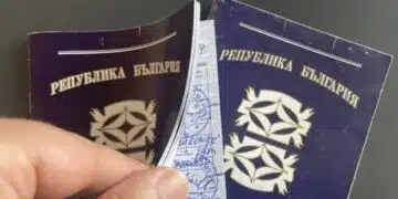 Вече е възможно! Проверяваме онлайн и без такси стажа си в НОИ 11