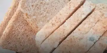 Стар хляб в градината: защо да го използваме? 1