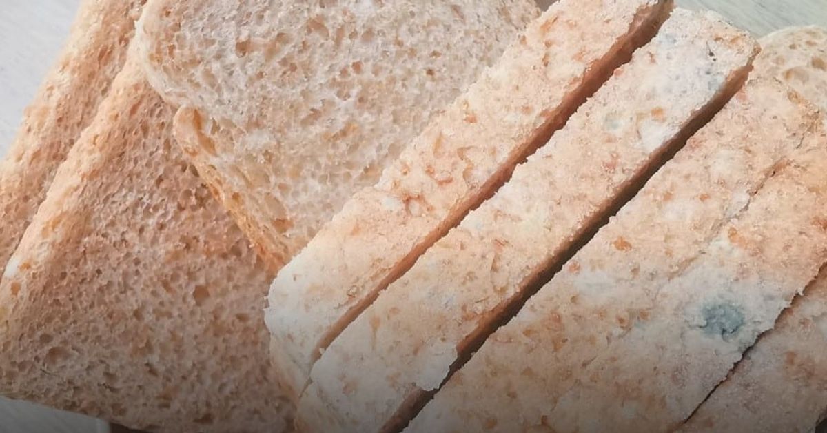Стар хляб в градината: защо да го използваме? Филийки хляб със синьо-зелен мухъл.