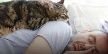 Стана ясна причината защо температурата на нашето тяло се повишава по време на сън 7