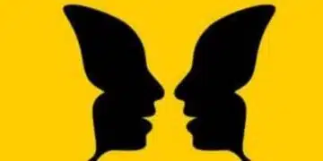 Какво ти липсва в живота? Първото нещо, което видите ще покаже дали сте любител на природата или купонджия 2