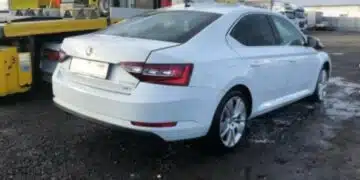 Автоексперт у нас назова най-продаваната автомобилна марка за 2024 година в страната 1