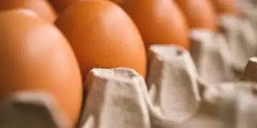 В сравнение с Европа плащаме по-скъпо за храни: причината 3