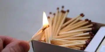 Откакто се светнах на този трик с кибрит, моите растения са като полудели 1