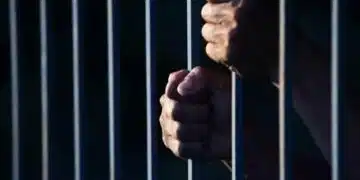 Куриоз! В бельото и якето на мъж, митничарите у нас откриха бяло вещество за 2,3 милиона лева 1