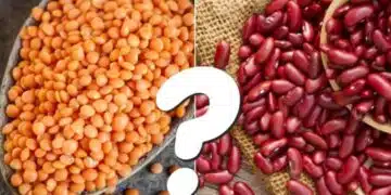 Уверете се сами: кое е по-здравословно леща или боб? 3