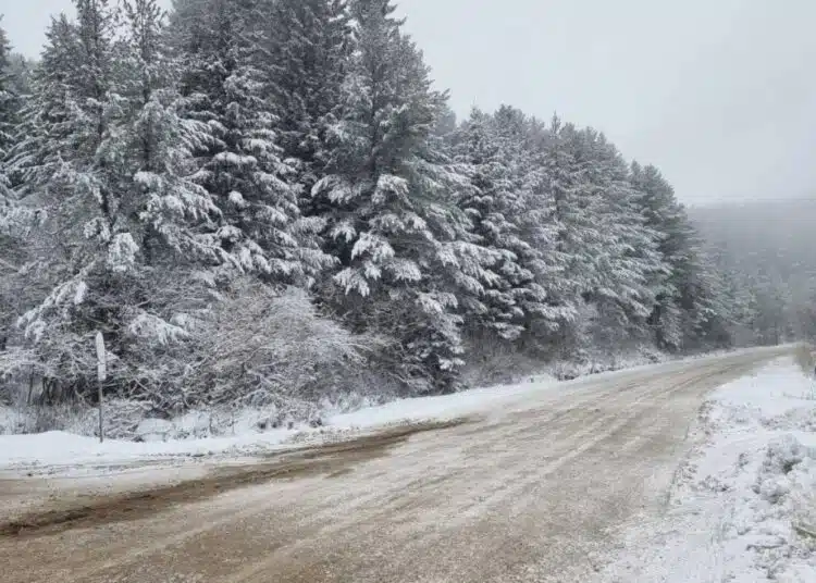 Студ и сняг ни очаква много скоро, това казаха синоптиците от Meteo Balkans (Карта) 1 Студ и сняг ни очаква много скоро, това казаха синоптиците от Meteo Balkans (Карта) 1
