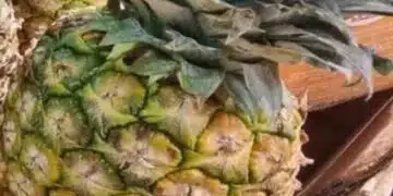 Обичаш ананас? То това е за теб - разкриваме как може да го отглеждаш в домашни условия и да му се насладиш максимално 3