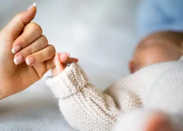 През 2024 година 10 деца се родиха от инвитро програмата на Столична община 1 През 2024 година 10 деца се родиха от инвитро програмата на Столична община 1