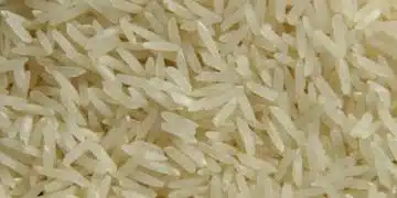 Как да направите косата си по-дълга с оризова вода: Топ рецепта 15