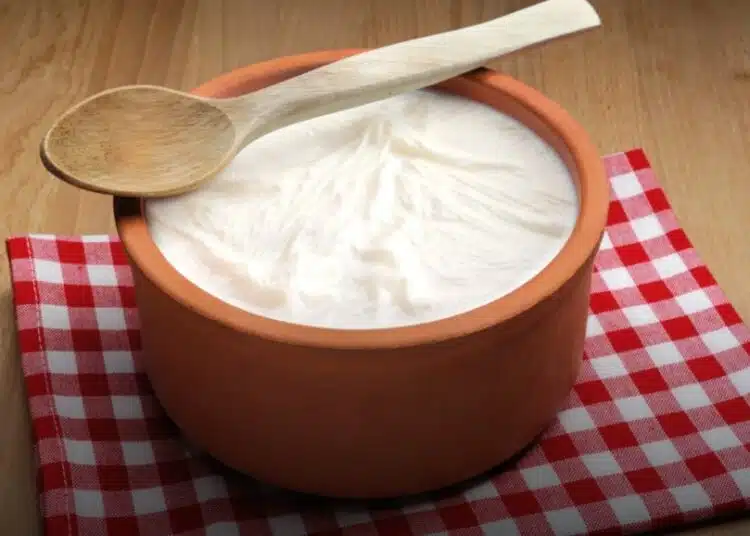 Няколко грешки, които допускат хората при подквасване на вкусното българско кисело мляко 1