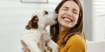 Как да разберете, че сте добър стопанин за вашето куче: 5 знака 5