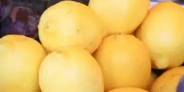 10 ползи от лимонова кора, за които едва ли знаете 9