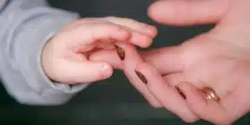 10 „старомодни” маниери, без които не можете да отгледате успешно и самостоятелно дете 1