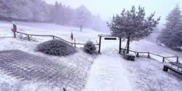 У нас падна сняг: ето къде 12