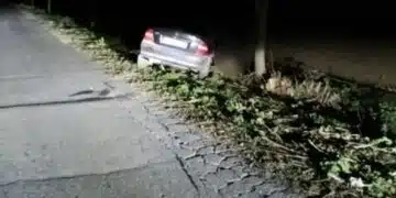 Между селата Ведрина и Одринци мъж загина след удар в крайпътно дърво 14