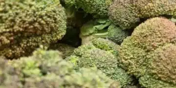 Здраве на панкреаса: какво да ядем и какво да избягваме 9