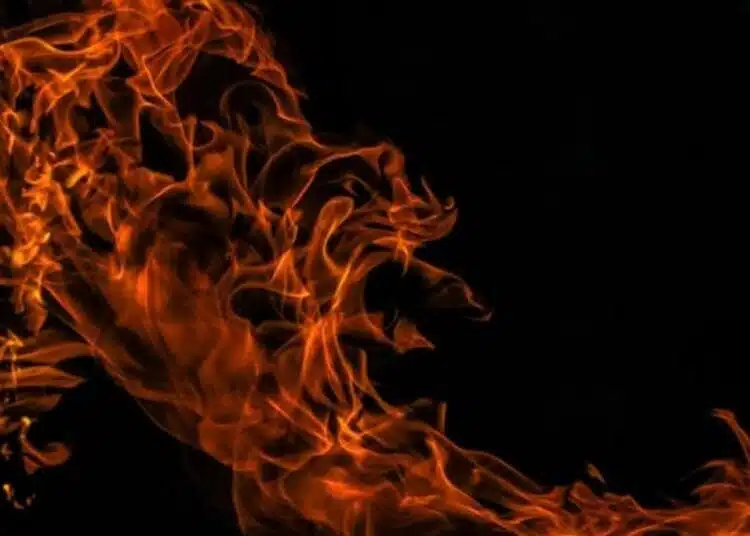 При пожари две жени напуснаха нашия свят 1