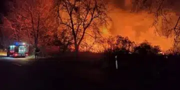 От последните минути: край Пловдив бушува голям пожар 4