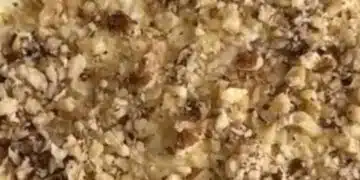 Пригответе салата Принц за гостите: ще ви помолят за рецептата 3
