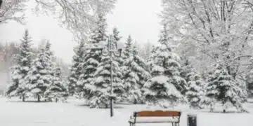 От НИМХ дадоха прогнозата за времето за периода 24 февруари - 2 март 2025 г. 5