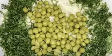 Най-добрата салата с херинга, гостите ще искат рецептата 1