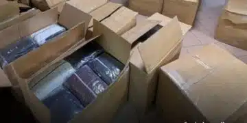 На МП „Лесово“ заловиха близо 12 хиляди стоки менте, какво се знае по случая: 2
