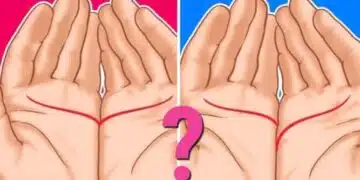 Линия на сърцето: какво показва тя за вас? 1