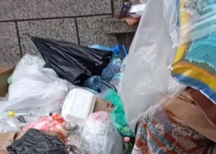 Възрастна жена, която е бивша учителка живее под плажен чадър, всеки който иска нека помогне 1