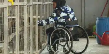 Адмирации! Момче за пример, Пламен е в инвалидна количка и помага на бездомни животинки! 10