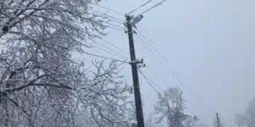 Хората в Троян и Габрово остават без ток, питат се докога ще е така?! 5