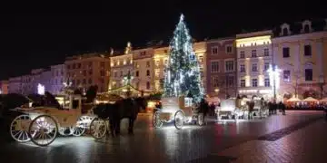Определена е най-красивата коледна елха в света 1