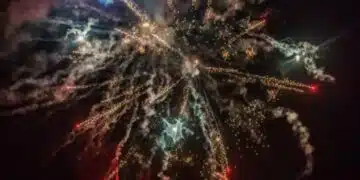 Как да защитите кучето си от фойерверки: бележка за собствениците на домашни любимци по време на новогодишните празници 14