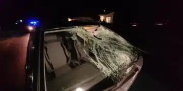 Огромна трагедия от тази нощ! 18 годишно момиче напусна нашия свят след пътен инцидент с 5 коня в Кюстендилско 4