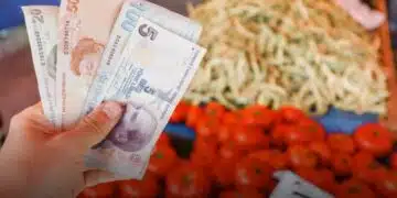 До 47,5% Турция понижи лихвения си процент 1