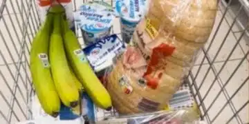Сравниха пазарските колички в България, Германия и Франция – какво можем да вземем за 30 евро в различните държави 1