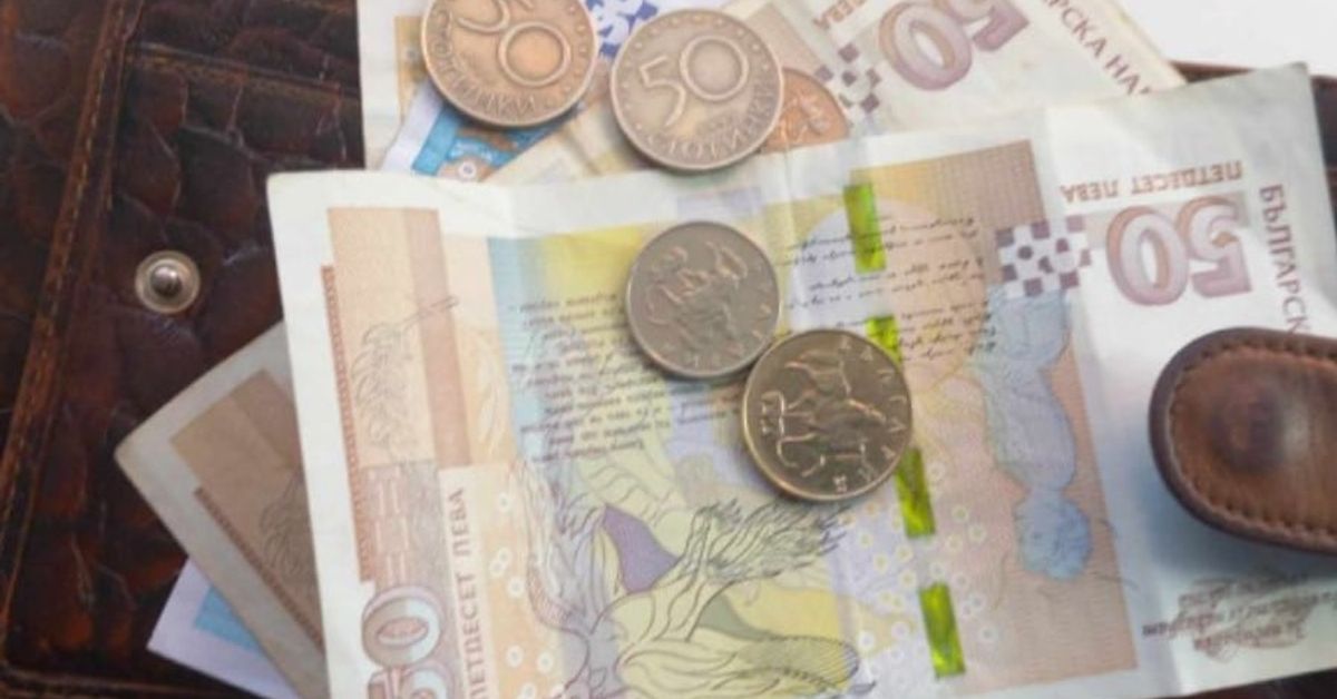 С 30% скочиха новите инвалидни пенсии у нас ГРАФИКА Български пари, включително банкноти от 50 лева и монети, в кожен портфейл.