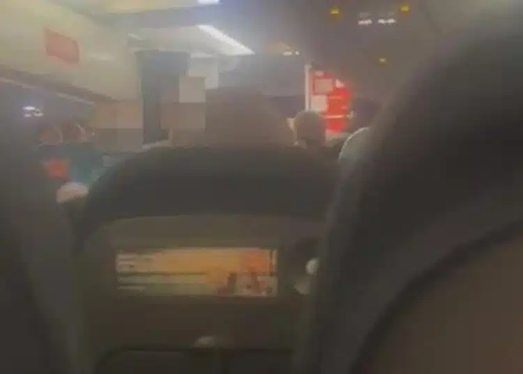 16 годишно момиче направи опит да отвори вратата на самолет, докато той е в полет 1