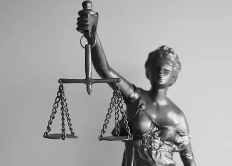 В Стара Загора осъдиха мъж, откраднал оградна мрежа от зоопарка 1