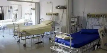 Добри новини! Едно от момичетата, пострадали при инцидента с коне е в добро състояние 2