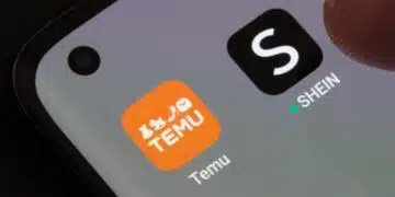 Европейският съюз захвана "Тему" и "Шейн" 4