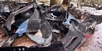 Появи се истинска автоморга под борове във Витоша 4