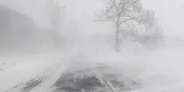Meteo Balkans излезе с прогнозата за януари 2025 година: Страната ще бъде връхлетяна от студ и мраз 14