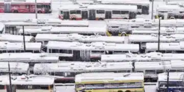 Снегонавявания на Балканите: 200 000 къщи останаха без ток, много пътища затворени 4